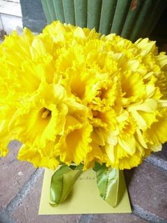 Daffs on the doorstep