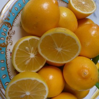 Meyer Lemons, preserved