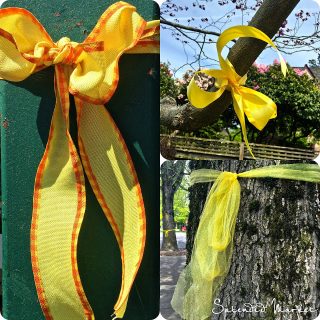 tie a yellow ribbon for those missing in Nepal….