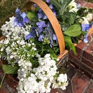 Blue and white garden bouquets in antique sauciers…