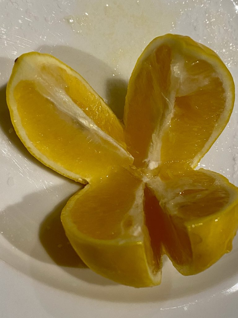Meyers lemons, quartered Meyers lemon, diy preserved lemons, how to preserve lemons, preserved meyers lemons