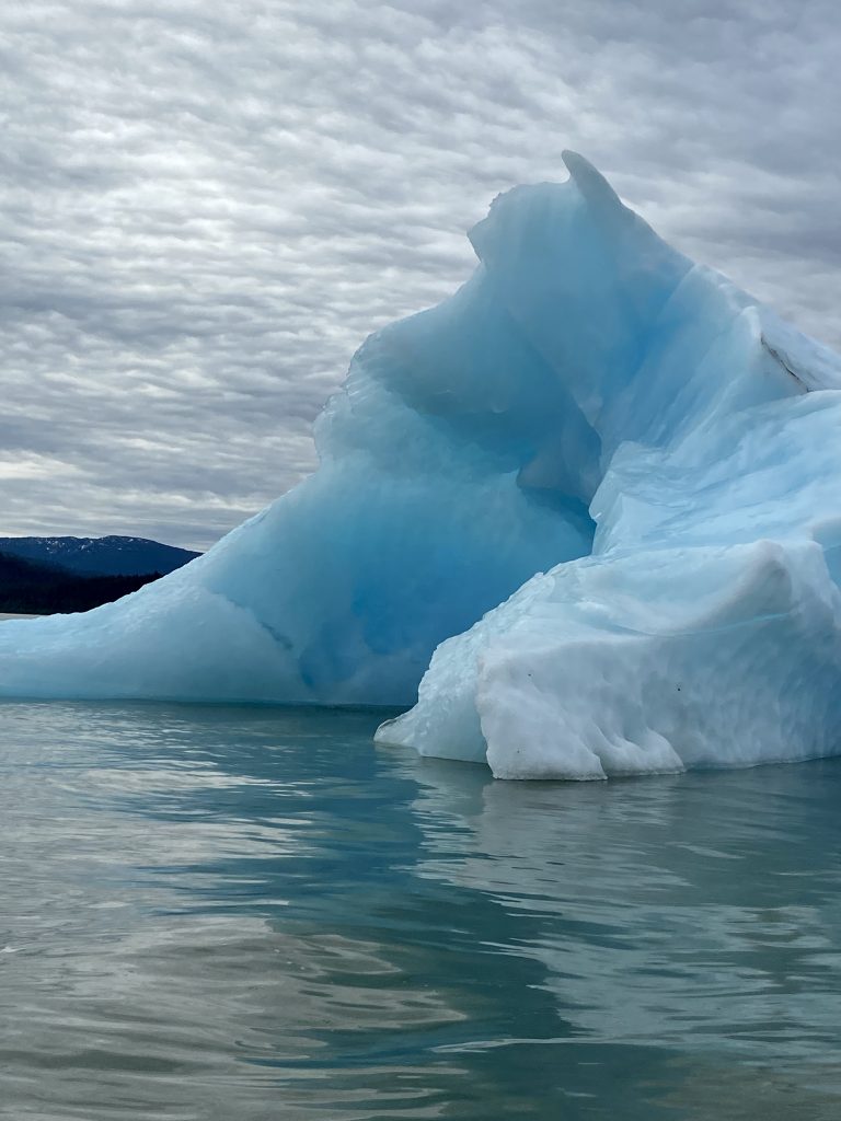 iceberg, blue icebergs, alaska, La Conte Glacier, La Conte Bay, icebergs