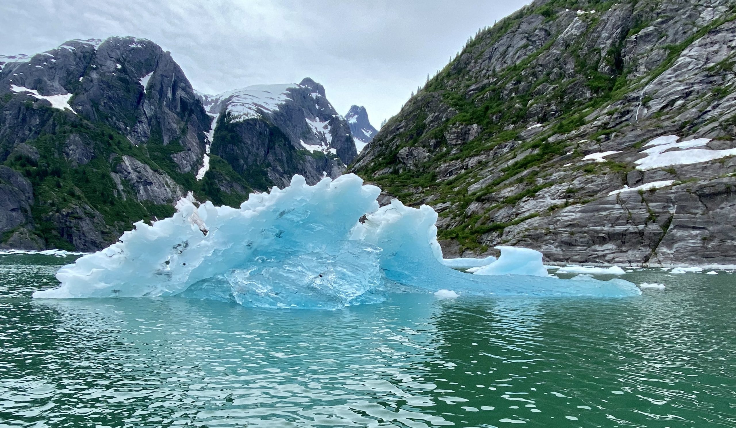 iceberg, blue icebergs, alaska, La Conte Glacier, La Conte Bay, icebergs