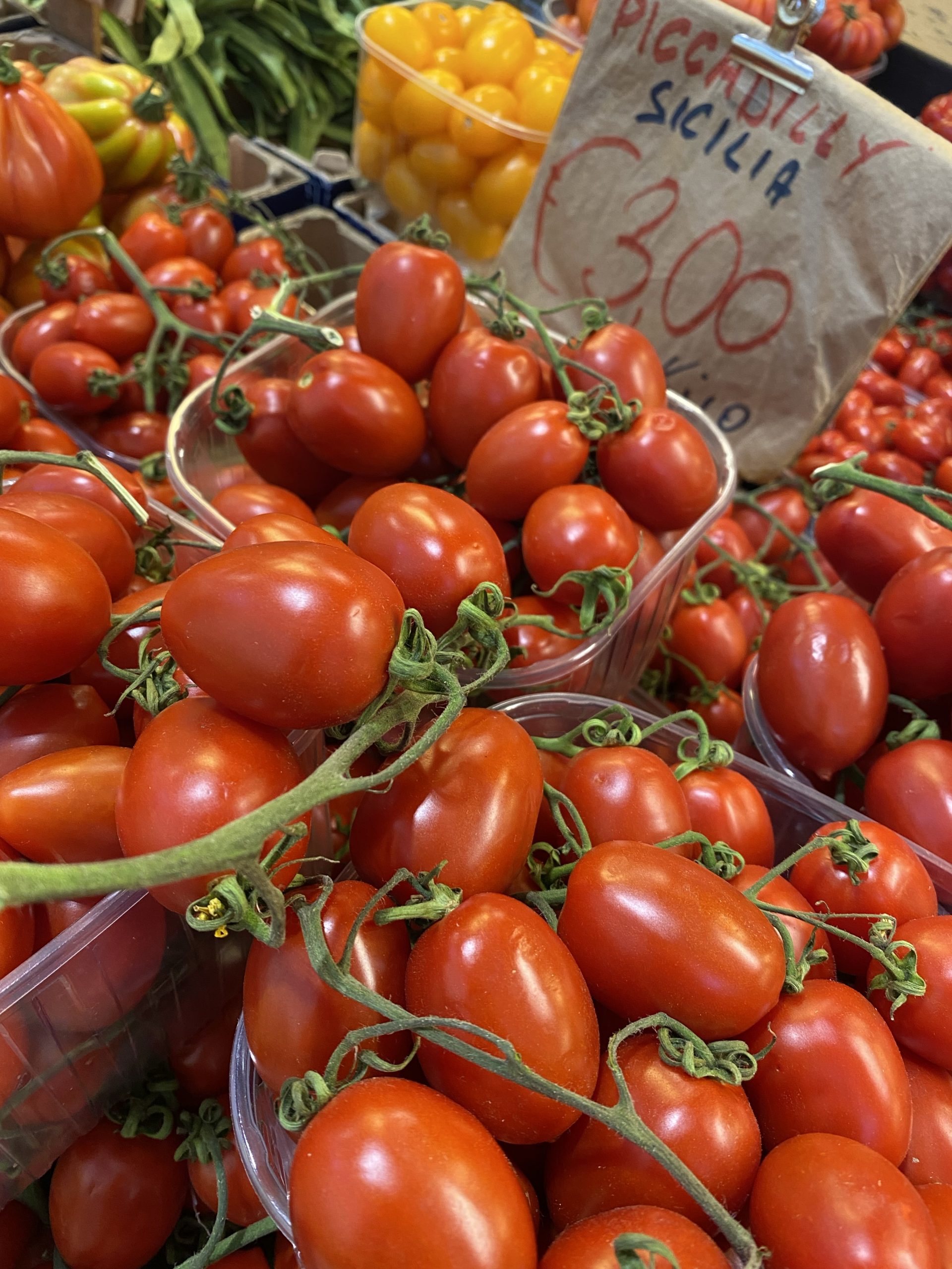 Grape tomatoes on the vine, Mercato dei Fiori, Ventimiglia, Italy, Ventimille, Italie