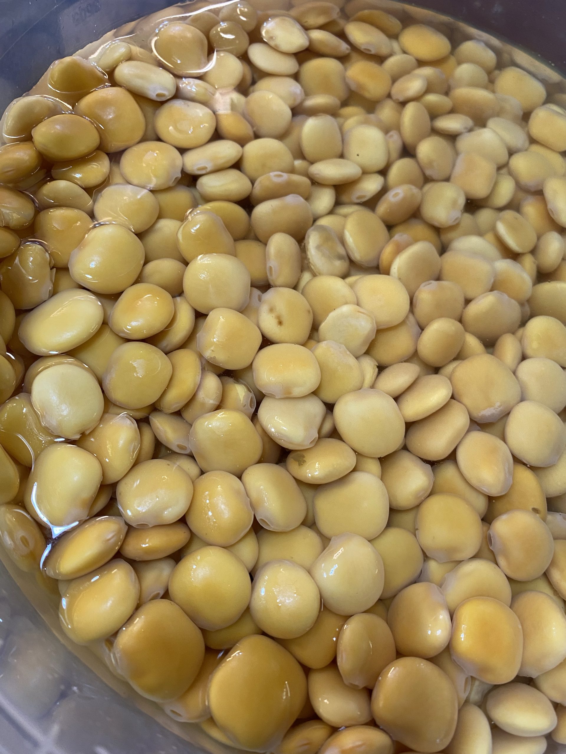 white beans, fagioli, Mercato dei Fiori, Ventimiglia, Italy, Ventimille, Italie