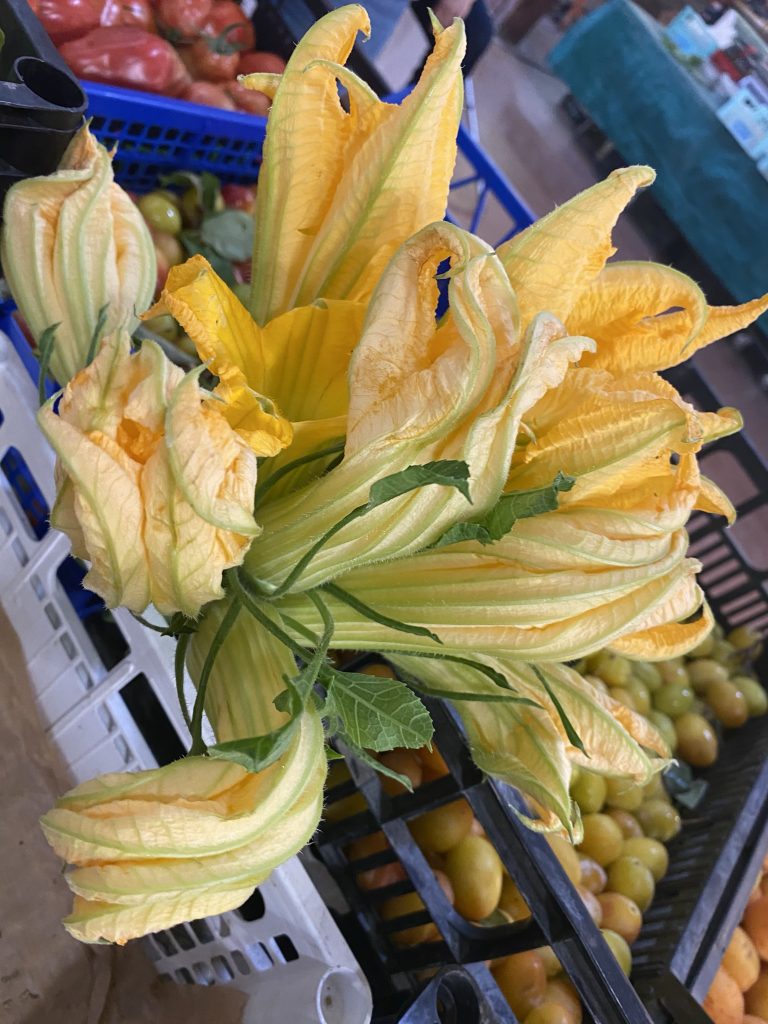 Squash blossoms, Mercato dei Fiori, Ventimiglia, Italy, Ventimille, Italie