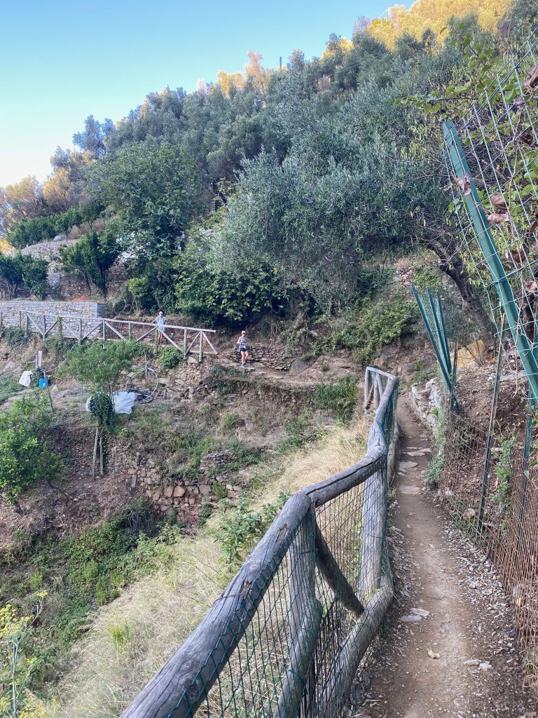 Trail to Vernazza, Olive groves, Sentiero Azzurro, Adventuress domestista, Cinque Terre, hiking Italy, Sentiero Verde Azzurro