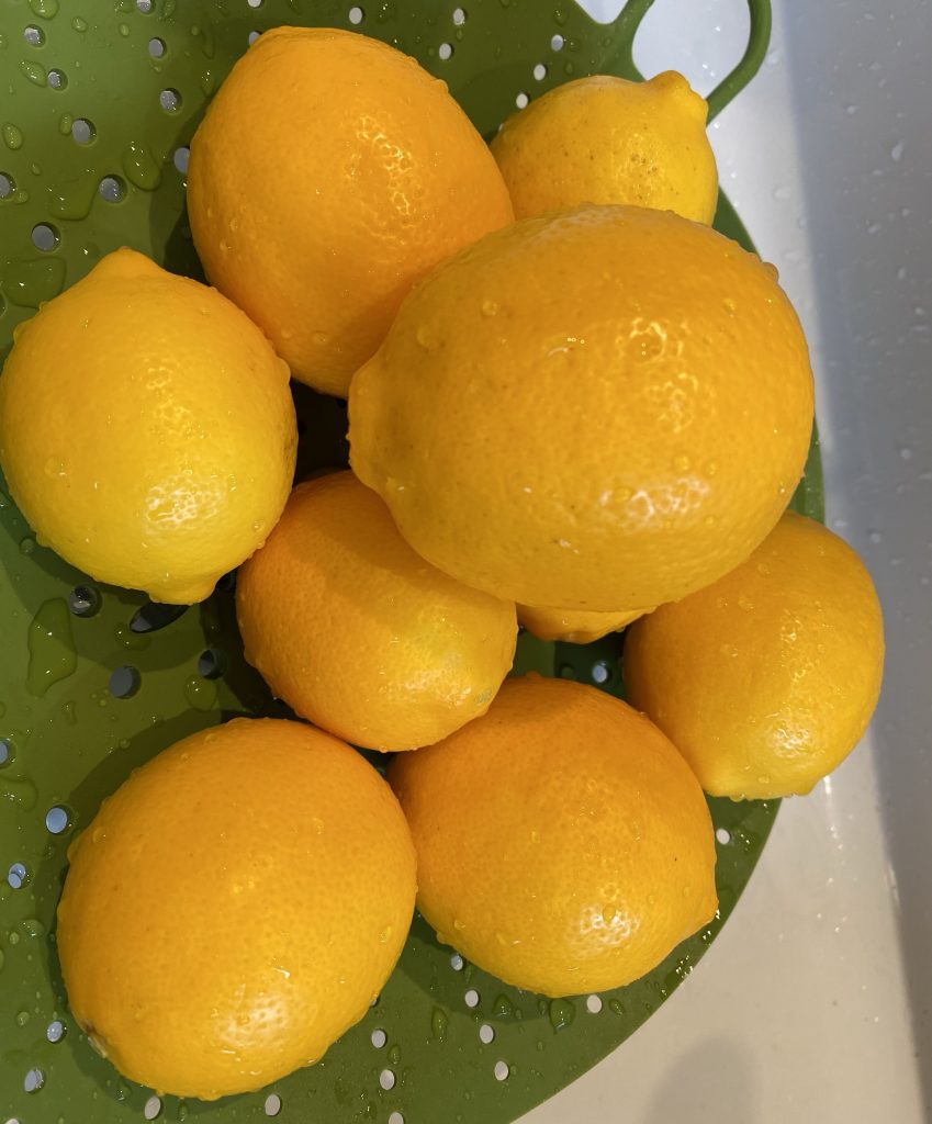 lemons, organic lemons, freshly picked lemons, washed lemons, green colandar 