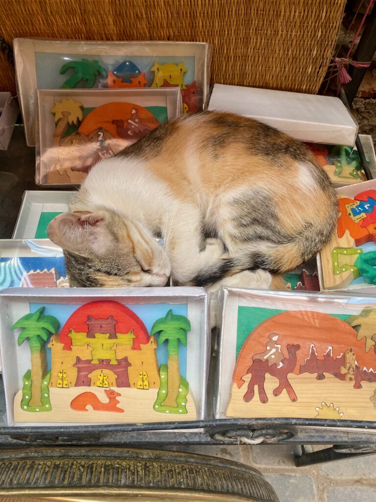 The Medina, Souks, Marrakesh, wood puzzles, kitty cat, Morocco, North Africa, markets