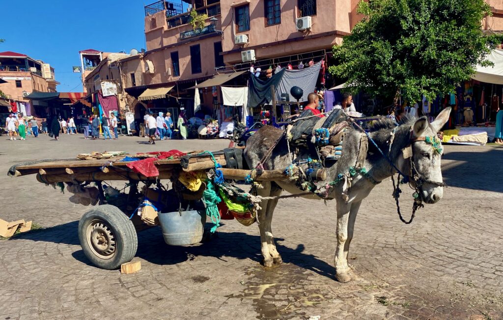 The Medina, Souks, Marrakesh, Morocco, North Africa, markets