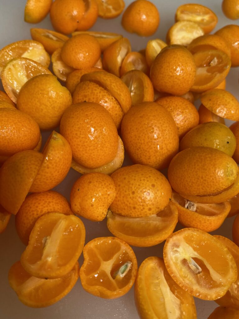 kumquat crop, kumquat may, kumquats, kumquat tree, kumquat farmer, kumquat grower, harvested kumquats, kumquat halves, notions to inspire, recipes to inspire