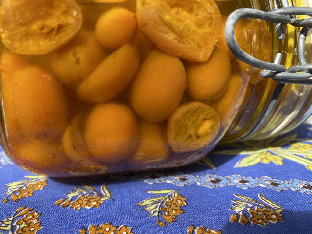 Preserved kumquats, kumquats preserved with saffron, preserved kumquats in olive oil, preserved kumquats in olive oil with saffron, kumquat tree, kumquat, citrus tree, citrus in the PNW, growing citrus in your home