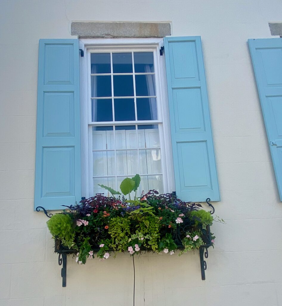 Window boxes, shutters, beautiful window boxes, splendid window boxes, Charleston, impatience