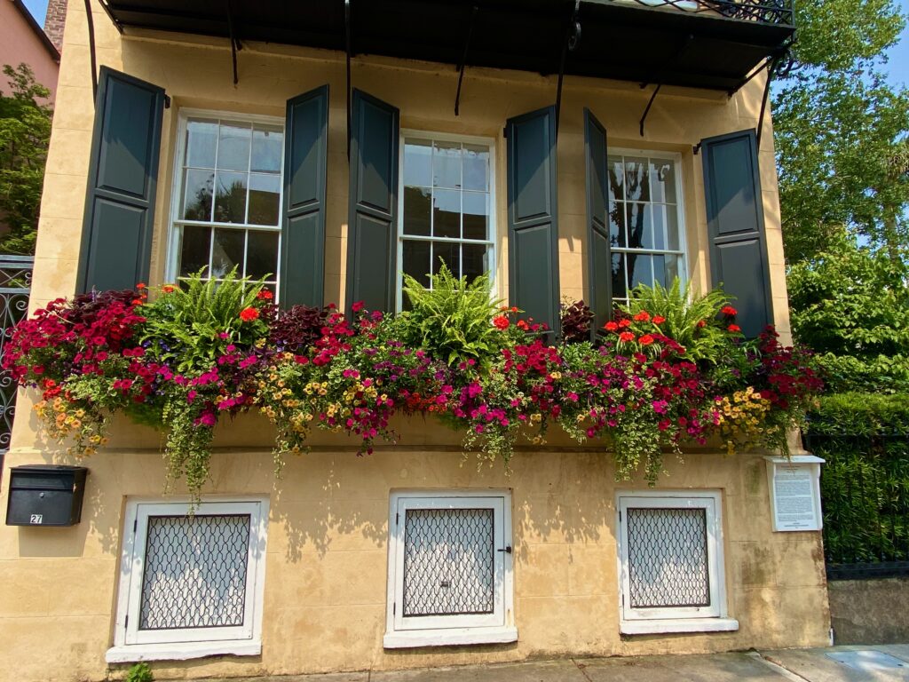 Window boxes, shutters, beautiful window boxes, splendid window boxes, Charleston, ferns and flowers