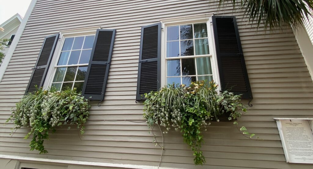 Window boxes, shutters, beautiful window boxes, splendid window boxes, Charleston, greenery