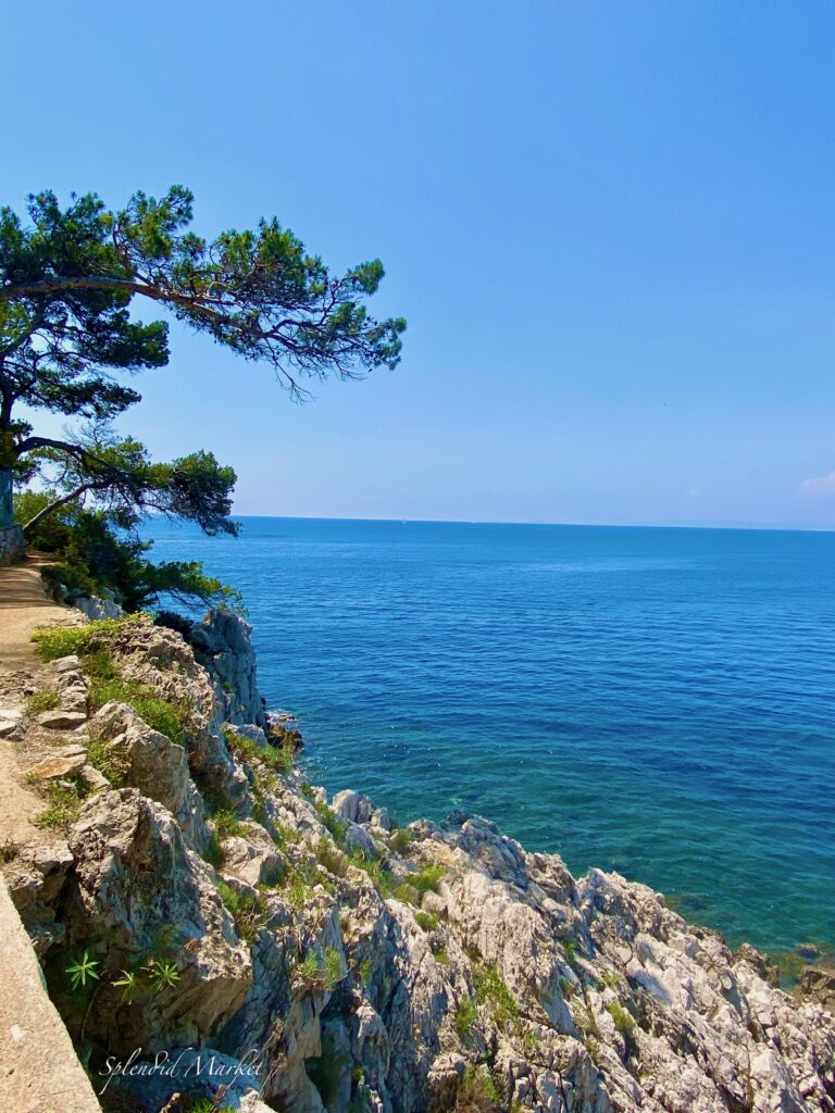 The Mediterranean Sea, The Med, La Mer, Coastal walks on the Mediterranean, Saint Jean Cap Ferrat, Cap Ferrat, craggy rocks, coastal pines, dramatic views