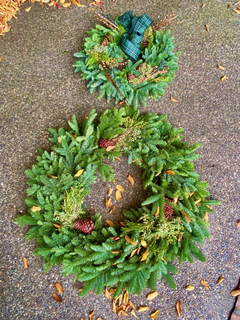 Christmas wreaths, pheasant feathers, birds, adorned wreaths, blue and green ribbon, juniper, pine wreath