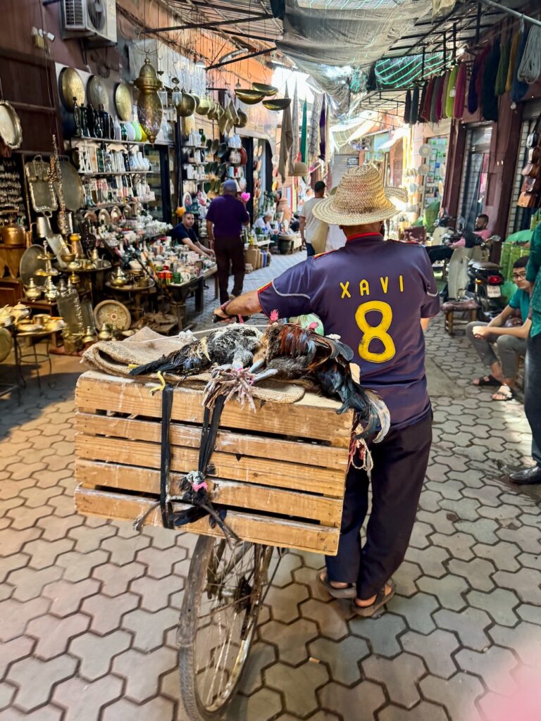 Souk, Marrakech, Medina, dead chickens on back of a bike in the souk