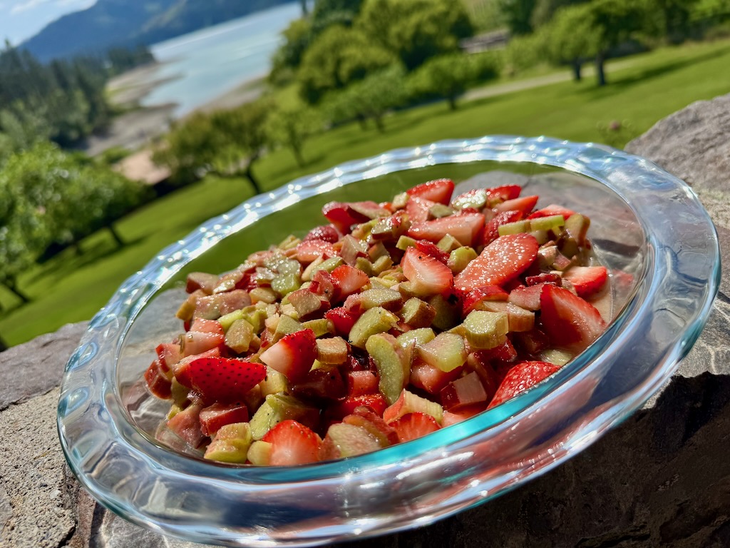 Rhubarb Strawberry tart filling