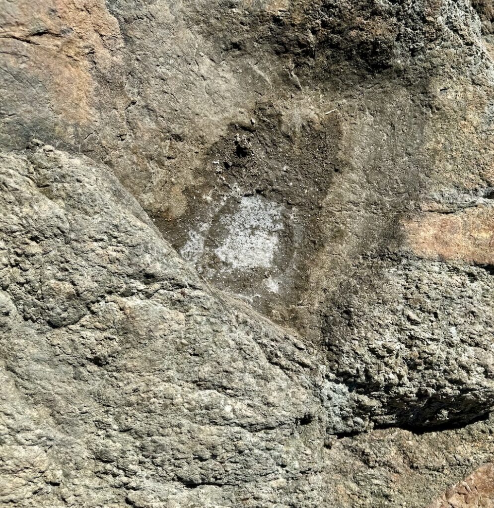 Sea salt, The Cliff Walk, Newport, RI